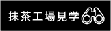 抹茶工場見学