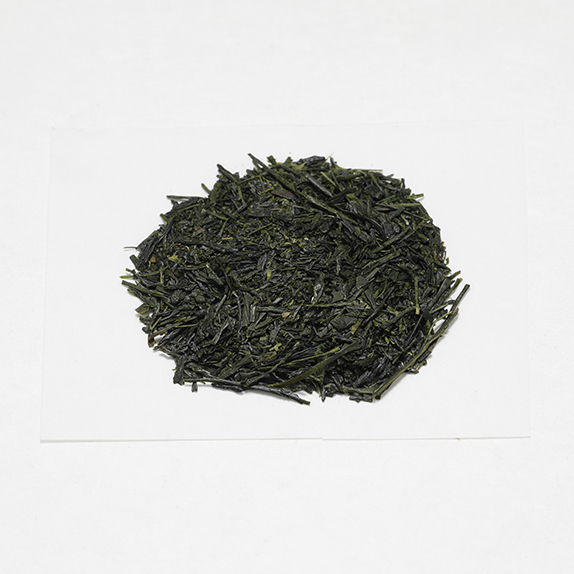 sencha19