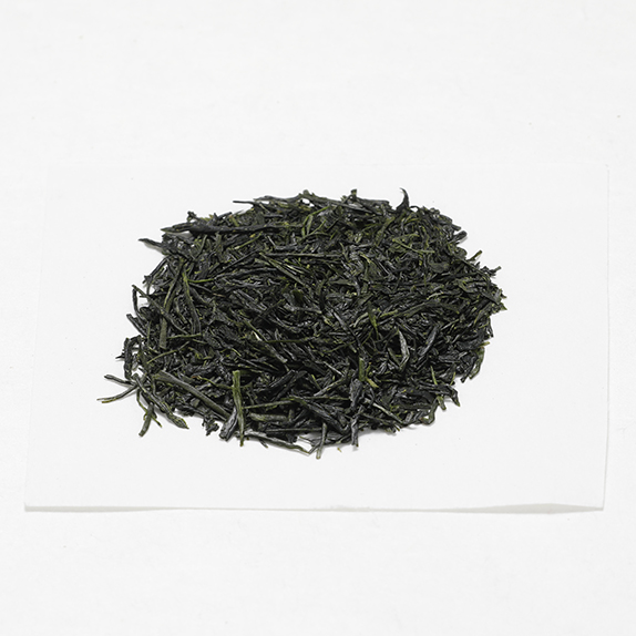 sencha22